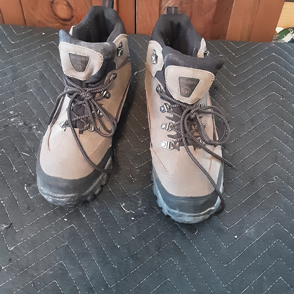 Wolverines - image 4